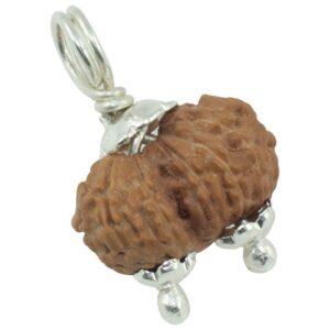 Gaurishankar Rudraksha/Gowrishankar Rudraksha Pendant (Pure Silver) - Indonesian Bead