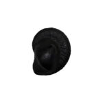 Sacred Sudarshan Shankh Shaligram - III