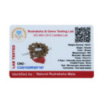 5 Mukhi Rudraksha Kantha/ Guru Kantha / Five Face Rudraksha Kantha (36+1 Beads)