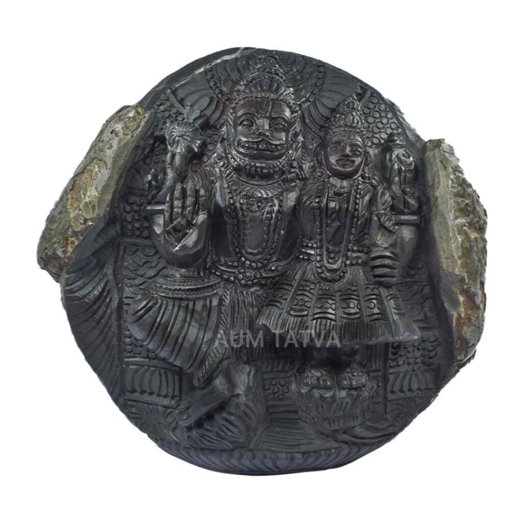 Lord Narsimha Laxmi With Natural Golden Shankh Shaligram Idol