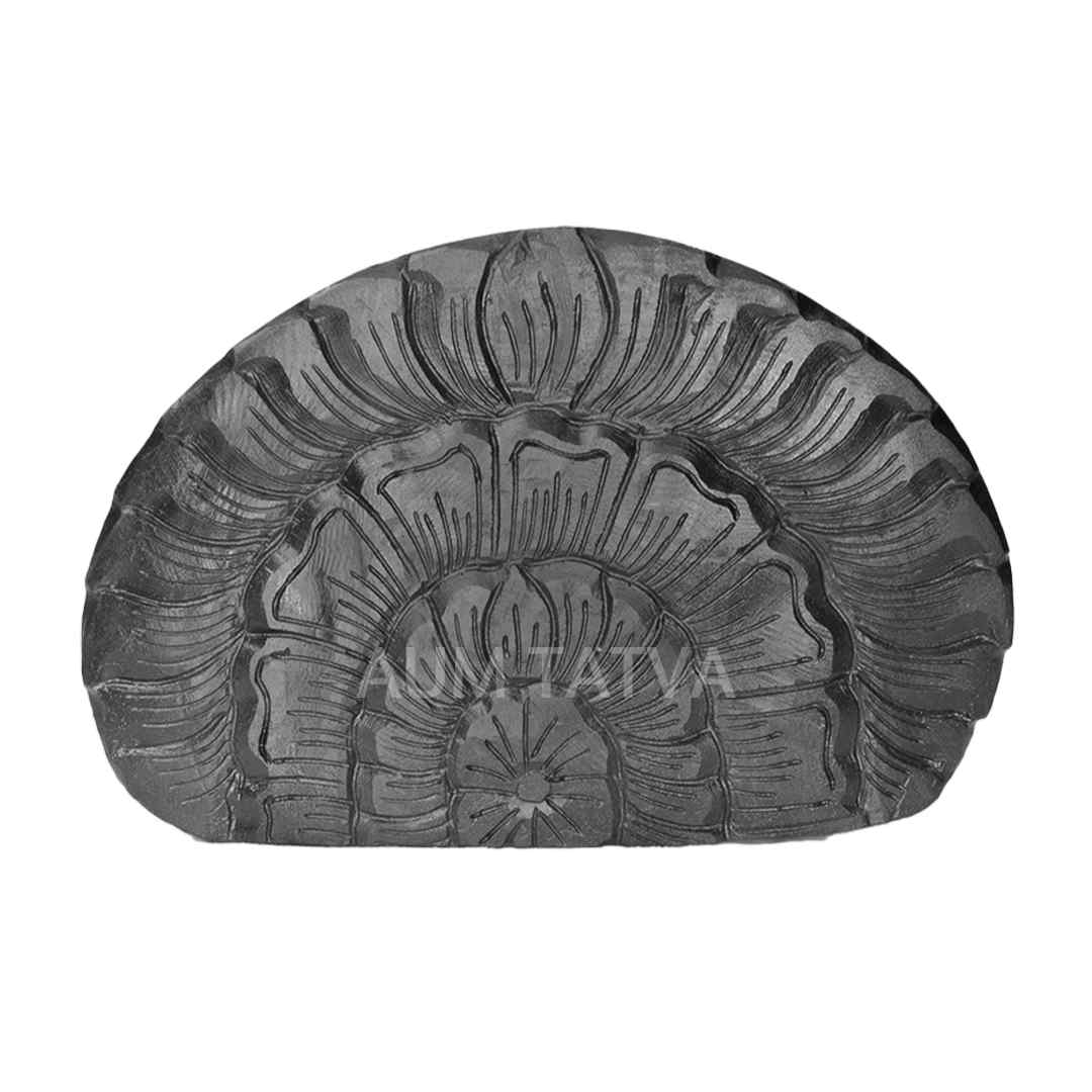 Shree Laxmi Narayan Shree Laxmi Narayan