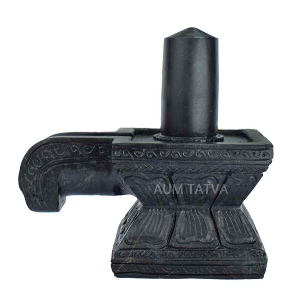 Shaligram Shivling AUMSHI31