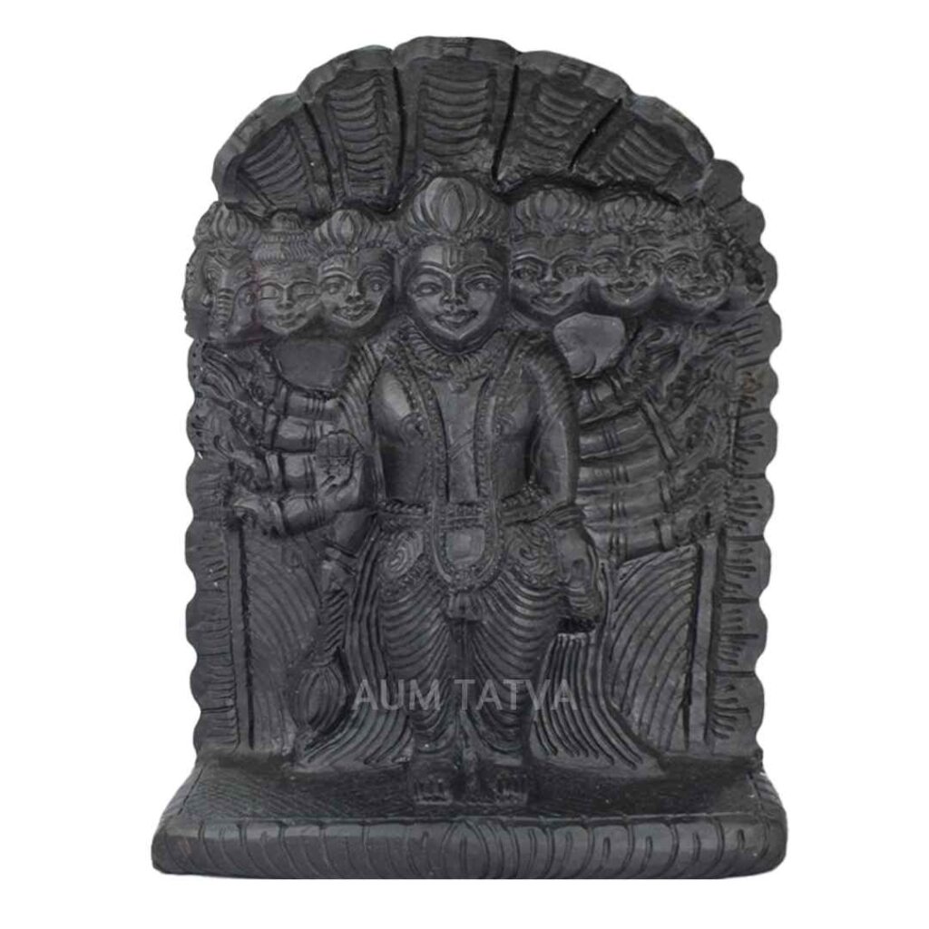 Virat Roop Lord Vishnu Shaligram Idol AUMSHI36