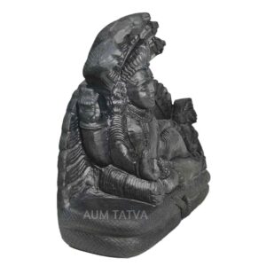 Lord Vishnu Sleeping