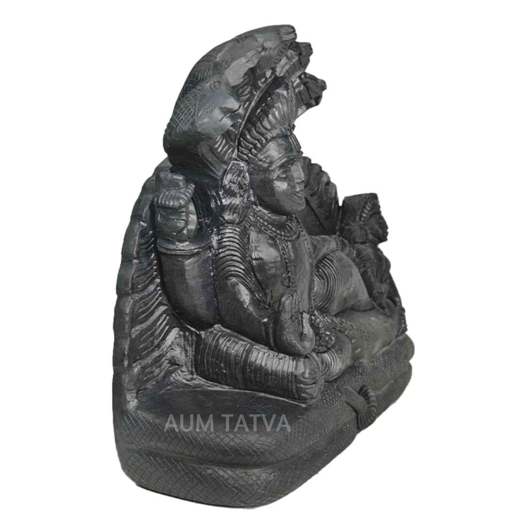 Lord Vishnu Sleeping Lord Vishnu Sleeping