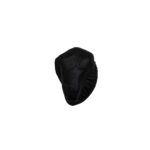 Sacred Ganesha Shaligram - II