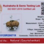 Gaurishankar Rudraksha/Gowrishankar Rudraksha Pendant (Pure Silver) - Indonesian Bead