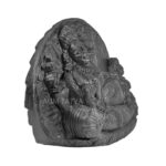 Shree Laxmi Narayan