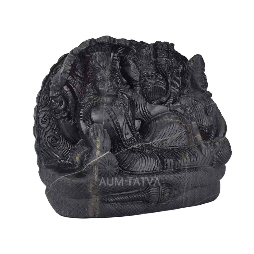 Shree Laxmi Narayan Shree Laxmi Narayan