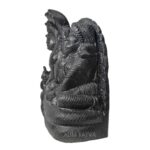Lord Vishnu Sleeping
