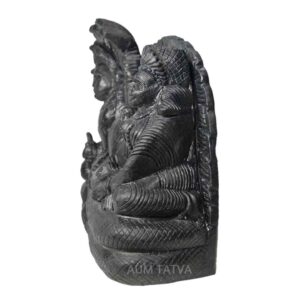 Lord Vishnu Sleeping