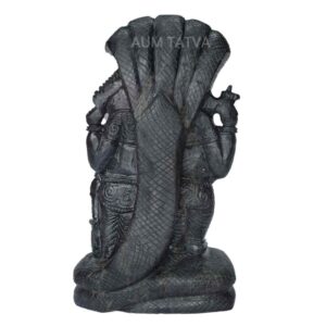 Lord Vishnu Standing