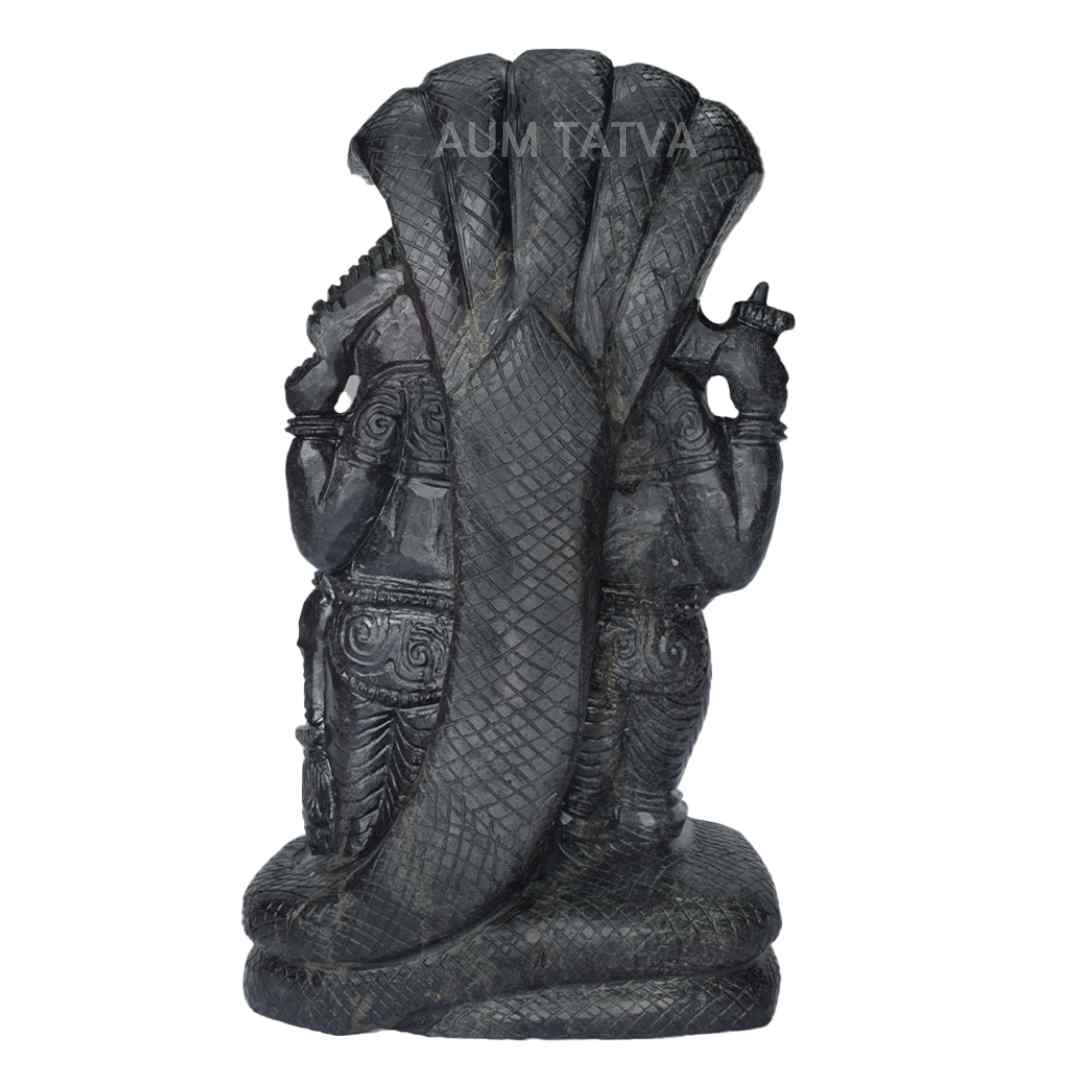 Lord Vishnu Standing Lord Vishnu Standing