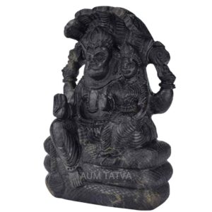 Shree Lakshmi Narsimha Idol Shaligram