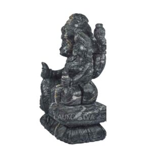 Janeudhari Shree Laxmi Narsimha Shaligram
