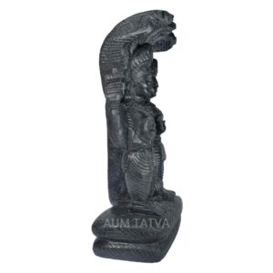 Lord Vishnu Standing