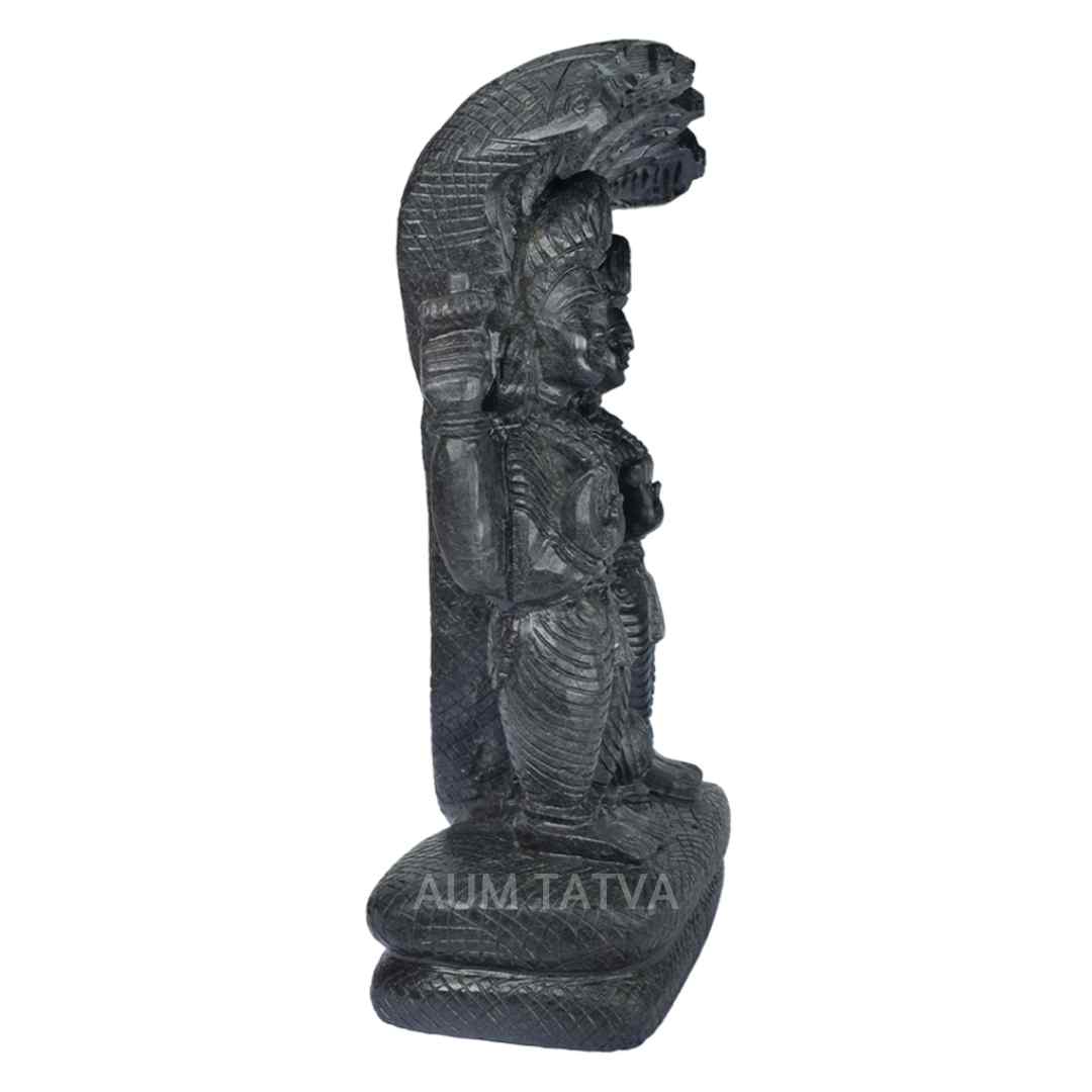 Lord Vishnu Standing Lord Vishnu Standing