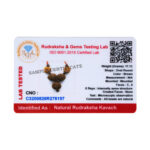 Aarogya Rudraksha Kavach - Lab Certified