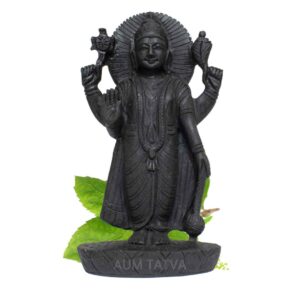 Lord Vishnu/ Narayana Idol AUMSHI-1