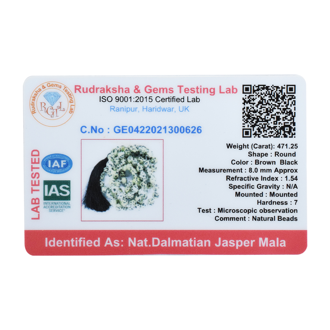 DALMATIONJASPERMALA2