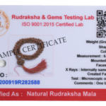 5 Mukhi/ 5 Face Rudraksha Mala - 108+1 Beads (Lab Certified)