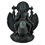 Garud Shaligram