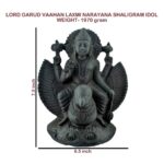 Garud Shaligram