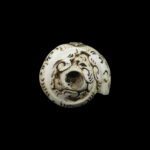 Lord Hanuman Ji carved in Vamavarti Left hand Shankh