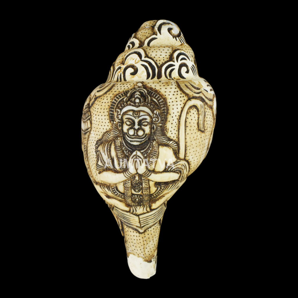 Lord Hanuman Ji carved in Vamavarti Left hand Shankh