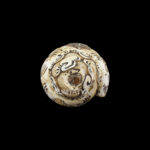 Lord Hanuman Ji carved in Vamavarti Left hand Shankh