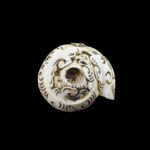 Lord Hanuman Ji carved in Vamavarti Left hand Shankh