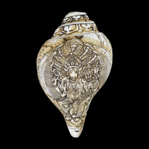 Shree Lakshmi Hayagriva Ji carved in Vamavarti Left hand Shankh