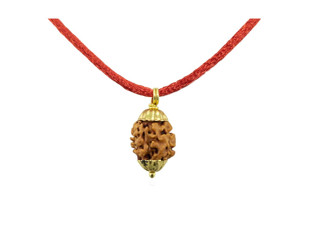 2 Mukhi Rudraksha Pendant/Two Face Rudraksha Pendant - Golden Metal Cap (Lab Certified)