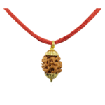 2 Mukhi Rudraksha Pendant/Two Face Rudraksha Pendant - Golden Metal Cap (Lab Certified)