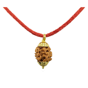 2 Mukhi Rudraksha Pendant/Two Face Rudraksha Pendant - Golden Metal Cap (Lab Certified)