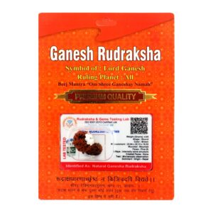 Ganesh Rudraksha