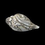 Lord Radha Krishna Ji carved in Vamavarti Left hand Shankh