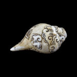 Lord Ram Ji carved in Vamavarti Left hand Shankh