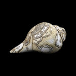 Lord Ram Sita Ji carved in Vamavarti Left hand Shankh