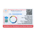 Rudraksha and Semiprecious Stone Bracelet