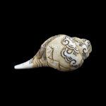 Lord Shiva carved in Vamavarti Left hand Shankh