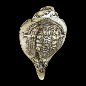 Lord Tirupati Balaji carved in Vamavarti Left hand Shankh