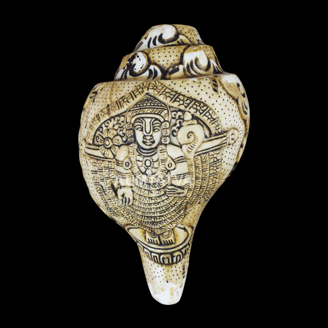 TIRUPATIBALAJI13 (1)