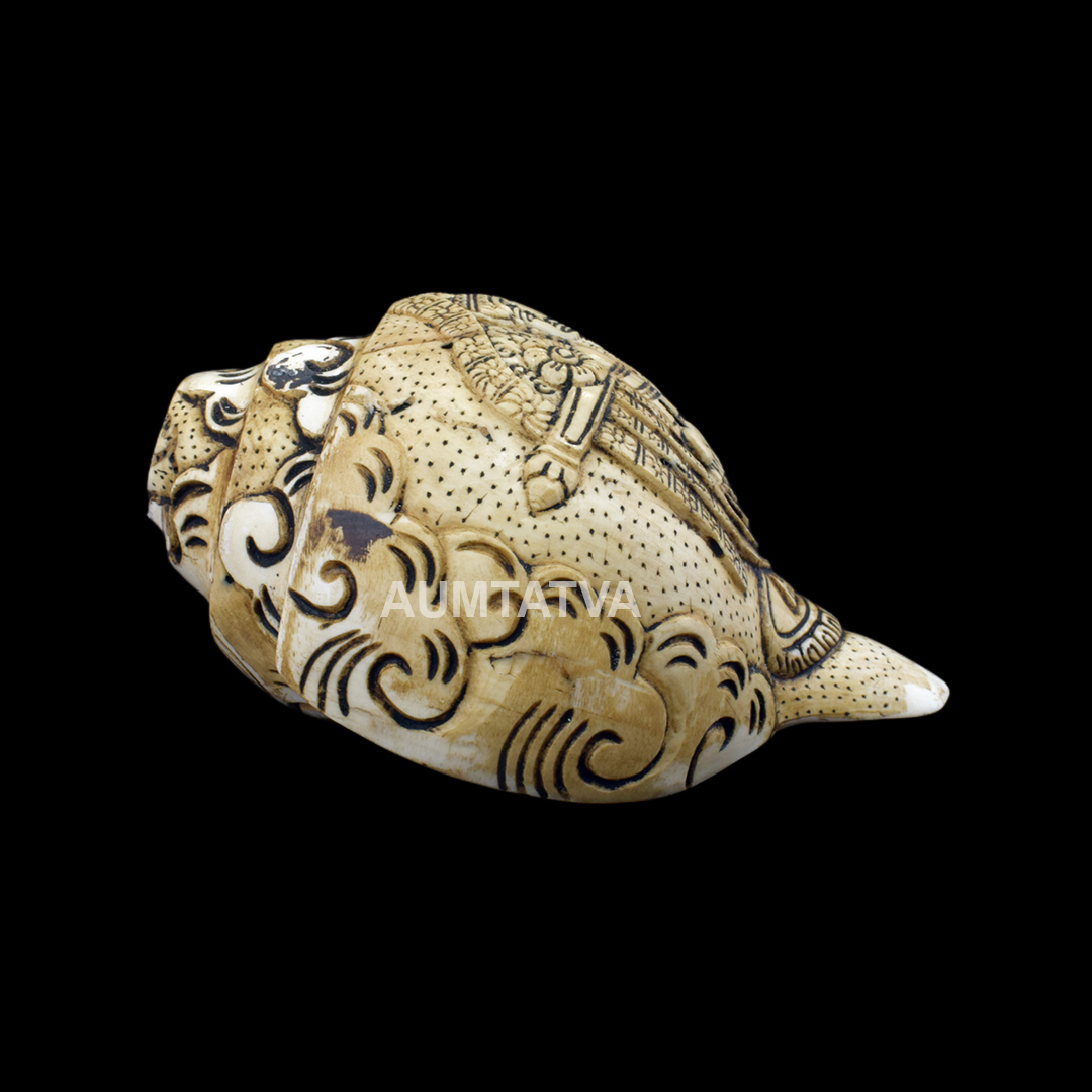 TIRUPATIBALAJI13 (2)