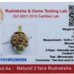 2 Mukhi Rudraksha Pendant/Two Face Rudraksha Pendant - Golden Metal Cap (Lab Certified)
