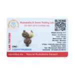 Business Shakti Rudraksha Kavach/ Business Shakti Kavach/ Vyapaar Vridhi Rudraksha Kavach - Lab Certified
