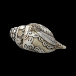 Vishwaroop of Lord Vishnu carved in Vamavarti Left hand Shankh