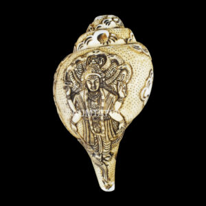 Lord Standing Vishnu Ji carved in Vamavarti Left hand Shankh