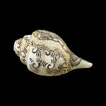 Lord Standing Vishnu Ji carved in Vamavarti Left hand Shankh