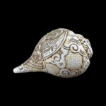 Vishnu Laxmi Ji carved in Vamavarti Left hand Shankh